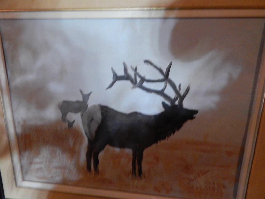Idle Spurs Log Cabin Bed & Breakfast Black Diamond Exteriör bild